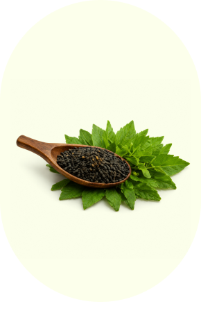 Sesame