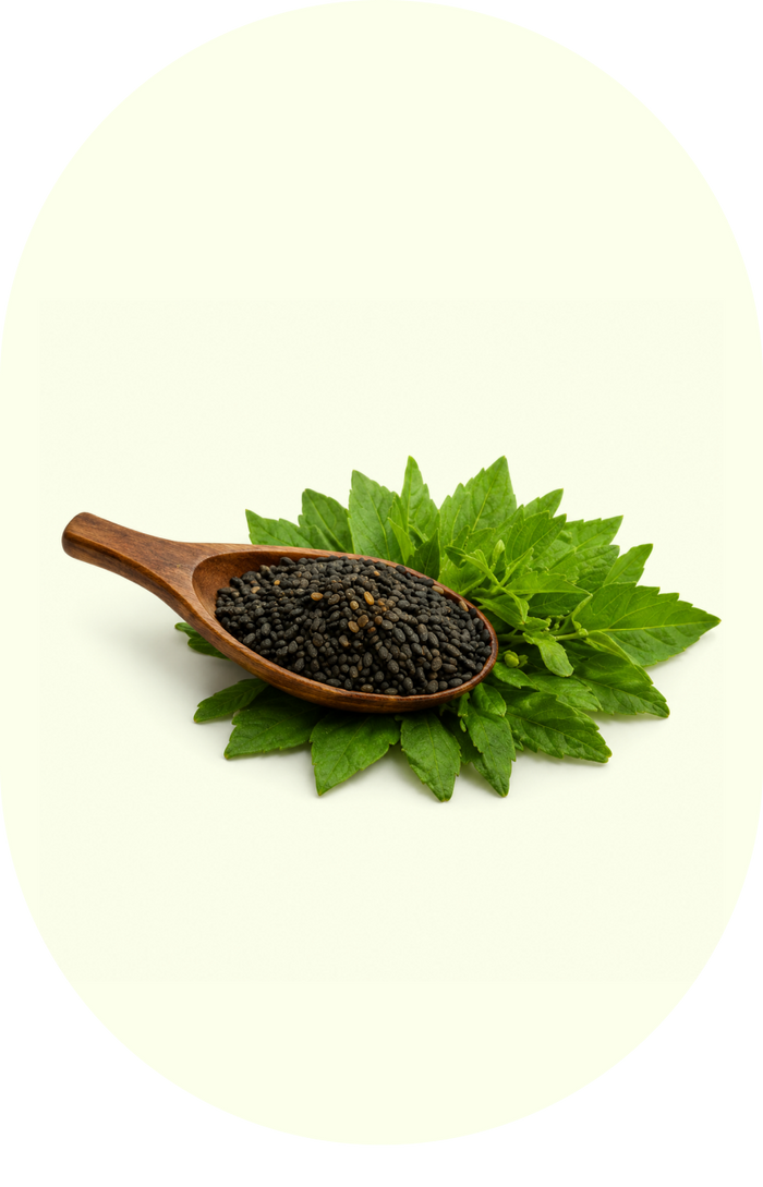 Sesame